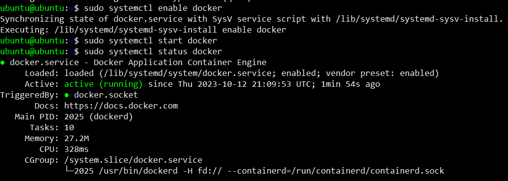 Docker enable and start